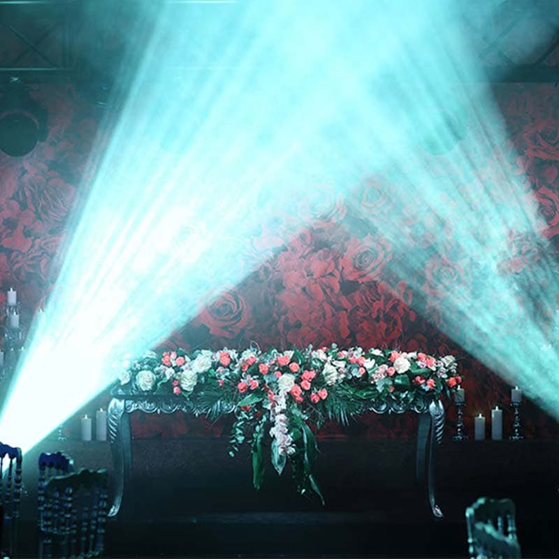 weddingland3