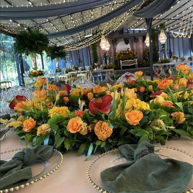 effendi-garden3