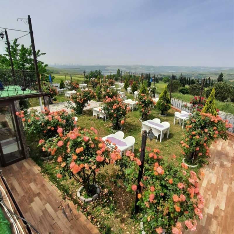 kuzey-garden2