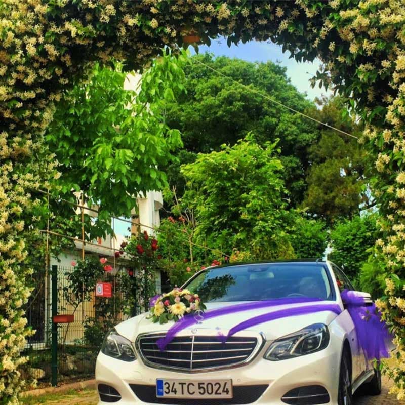 ats-vip3